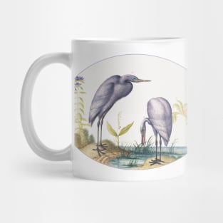 Two Great Egrets with Green Breeding Masks (1575–1580) Mug